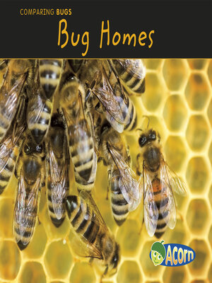 cover image of Bug Homes